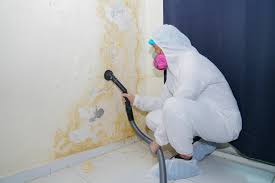 Best Mold Removal for HVAC Installations  in Grantsburg, WI